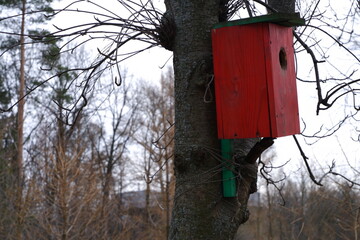 The birdhouse is red. Birdhouse on the tree.