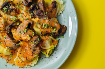 Fresh egg pasta with ricotta cheese and porcini mushrooms paste filling, delicious tortelloni