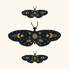 Poster of Black butterflies with gold patterns. Moths with golden doodles on the wings of soaring dark butterflies. Mystical wings with moths for a postcard. Vector illustration