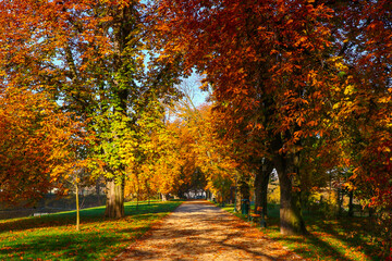 Zamość - Park jesienią