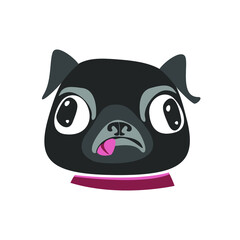 Black pug breed dog puppy head. Flat vector illustration
