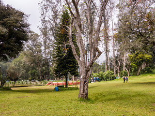 The green meadows of the Bryant Park in the hill station of Kodaikanal in Tamil Nadu, India.