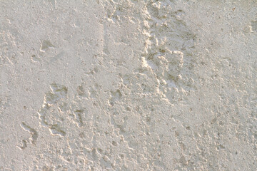 Abstract concrete background - in the form of a old rough scuffed wall, closeup