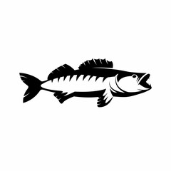 Walleye / Zander fish logo. Walleye fish fishing emblem for sport club. Walleye fishing background theme vector illustration.