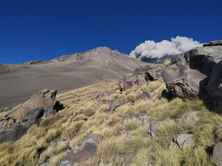 Fumarola