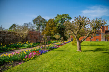 spring in the park