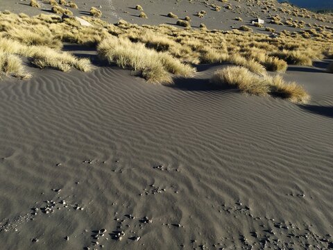 Matorrales