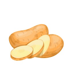 Potatoes vector illustration. Raw potato whole root crops and sliced pieces.