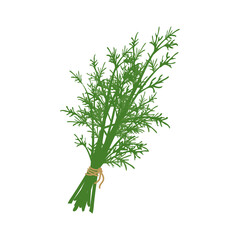 A bunch of dill herb tied with a rope. Source of vitamin C. Green ingredients for vegetarian meals and a healthy lifestyle