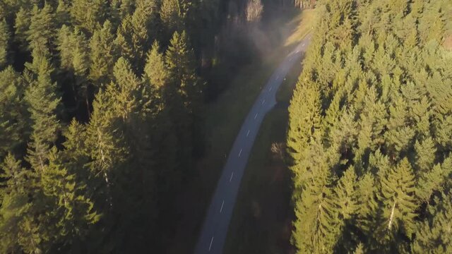 Car driving through a forest street in bavaria, birdseye follower drone