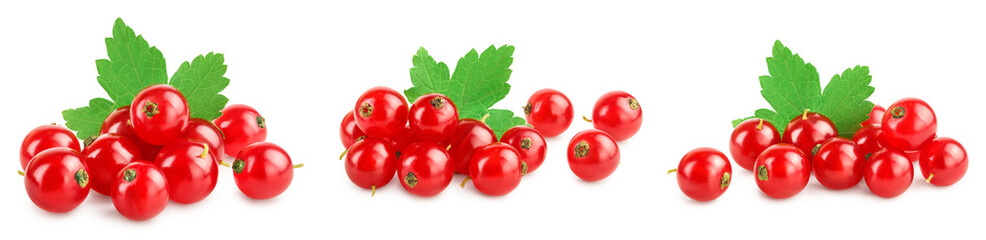 Red currant berries with leaf isolated on white background. Set or collection