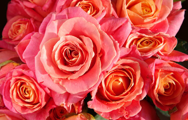 Bouquet of beautiful pink roses.