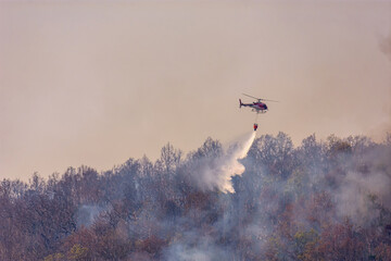 Helicopter dropping water on a forest fire