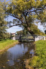 Fototapeta na wymiar bridge over the river in autumn