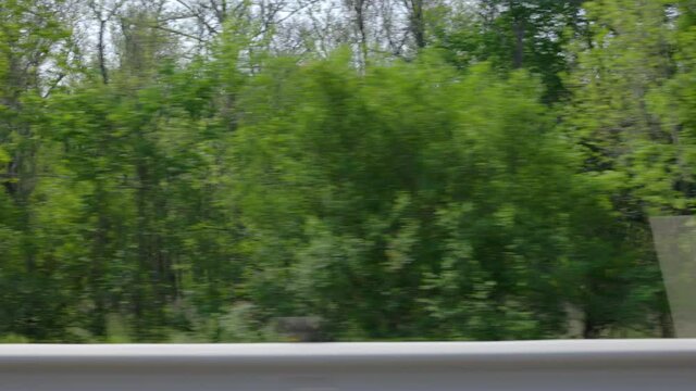 driving plate next to a heavily wooded forest