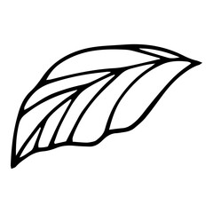 Bio leaf icon, hand drawn and outline style