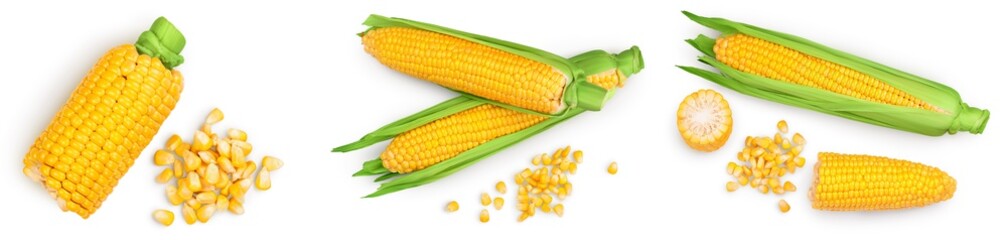 ear of corn isolated on a white background. Clipping path and full depth of field. Set or collection