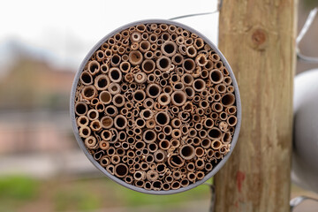insect house closeup, manmade structure to provide shelter for insects