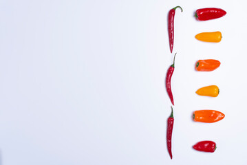 presentation of multicolored peppers, avocado on white backgrounds