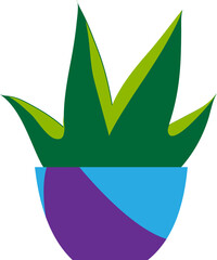 flowerpot reo with indoor cactus flower Room design element.