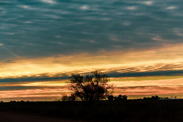 Campo.