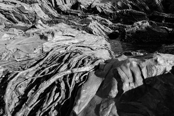 Architecture at MFAH Nancy and RIch Kinder Building