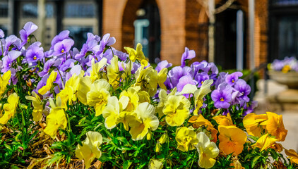 Fototapety na wymiar - Fototapeta24.pl