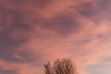 Obraz premium Naturaleza.