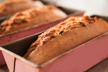 Fresh bakery with crispy crust standing at table and preparing for the salling