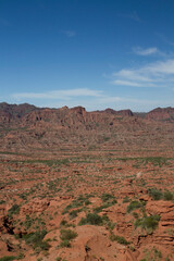 The red desert. View of the arid landscape, desert flora, canyon and rocky mountains under a blue sky. 