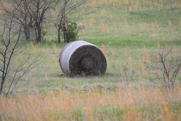 Hay Bale in a Field