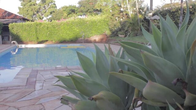 piscina e jardim