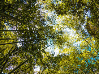 C:\DCIM\100GOPRO\GOPR0842.GPR