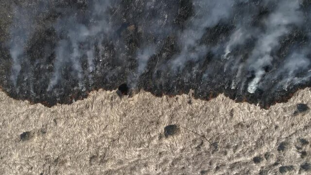 Aerial shot of low vegetation burning rapidly-the shot is static