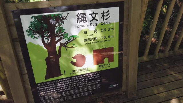 Jomon Sugi Cedar information sign on Okabu Trail on Yakushima Island Japan