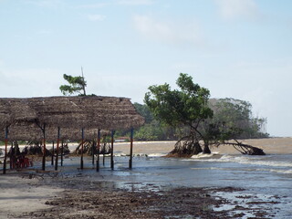 Paisagem Marajó