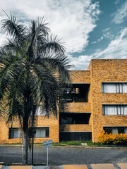 palm trees in front of a university