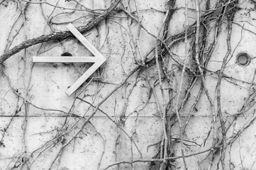 Arrow sign and withered vines on wall