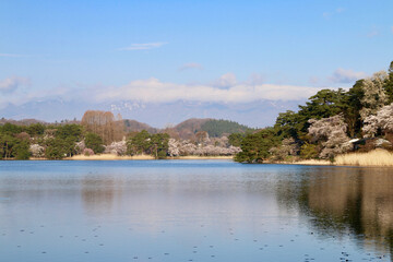 春の南湖公園（福島県・白河市）