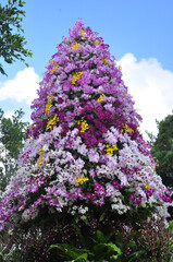 Obraz premium 紫の花の塔