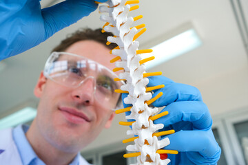 The doctor is studying the human spine model. For research and treatment