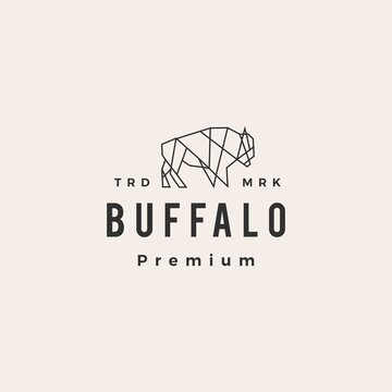 buffalo bison geometric hipster vintage logo vector icon illustration