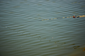 春の公園の池で釣りをしているシニア男性の姿