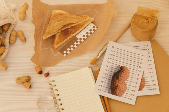 Top view of an open notebook, photos of peanuts, toast bread with peanut paste and a jar, nuts in a bag, a criminal ruler, a brush. Forensic concept of the benefits and harms of peanut products.