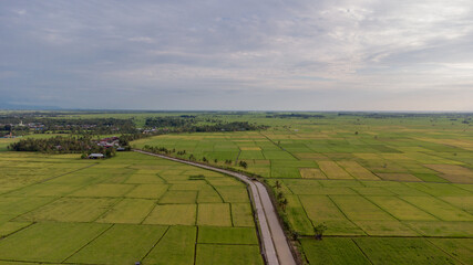 Pinrang, Sulawesi Selatan Indonesia.
The view of the rice fields that will soon be harvested.
April 11 2021