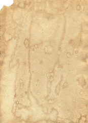 Fototapeta na wymiar Painted coffee paper texture. Scan 800dip. Can be used for placing illustrations, text, design. 