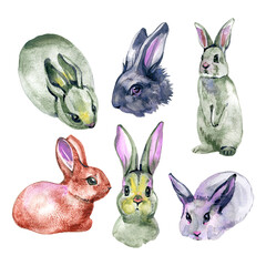 Bunnies. Farm animals. Watercolor drawing illustration isolated on white background.