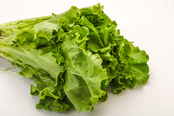 Green lettuce salad heap leaves
