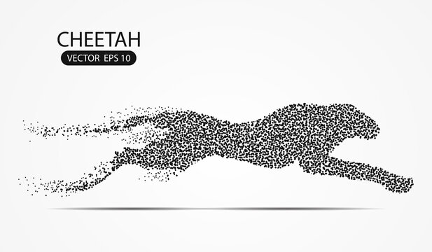 Cheetah point scales on gray background with dots color black effects. Wire frame 3D mesh spot network, design sphere, dot and structure. Vector illustration eps 10.