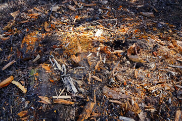 Various sizes orange sawdust and wood chips on dark almost black ground, texture, background